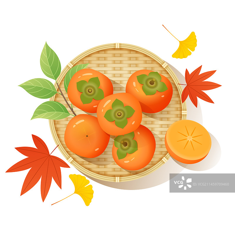 秋天霜降节气竹篮里的柿子水果美食和枫叶银杏静物俯视图手绘促销矢量插画图片素材