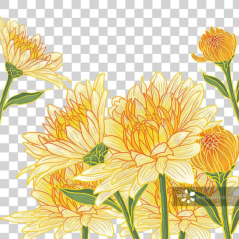 小菊花秋菊鲜花花卉图片素材