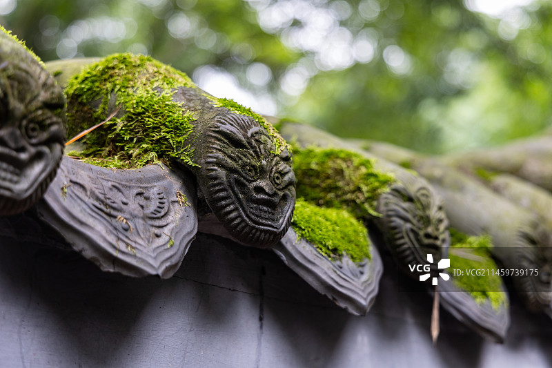 长满苔藓的墙檐图片素材