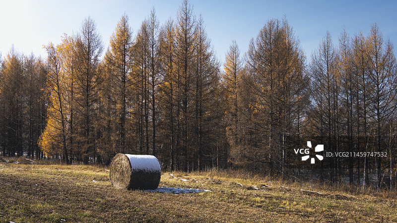 呼伦贝尔草垛图片素材
