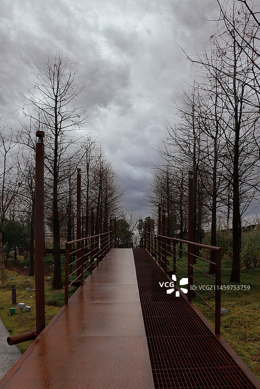 冬季阴天的户外步道图片素材