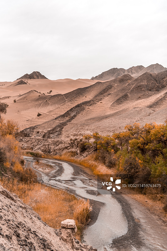 青甘大环线 青海 祁连山脉 青海湖 甘肃图片素材