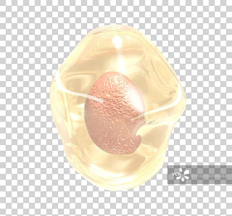 金色的细胞细胞核图片素材