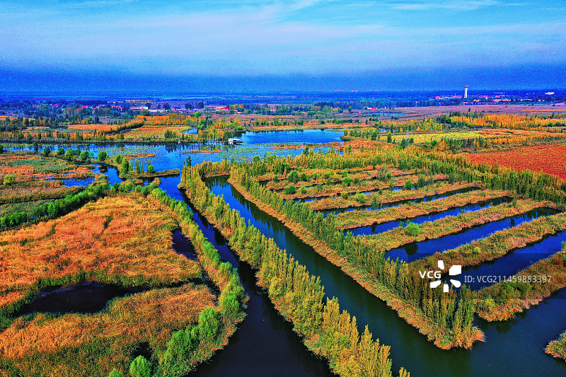 朝霞彩云映碧湖 残荷败柳遍黄芦 鸟语鸣唱飞白鹭 华北明珠美画图 （华北明珠白洋淀）图片素材
