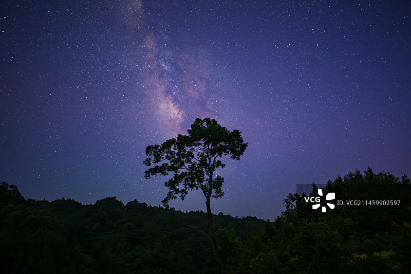 银河树图片素材