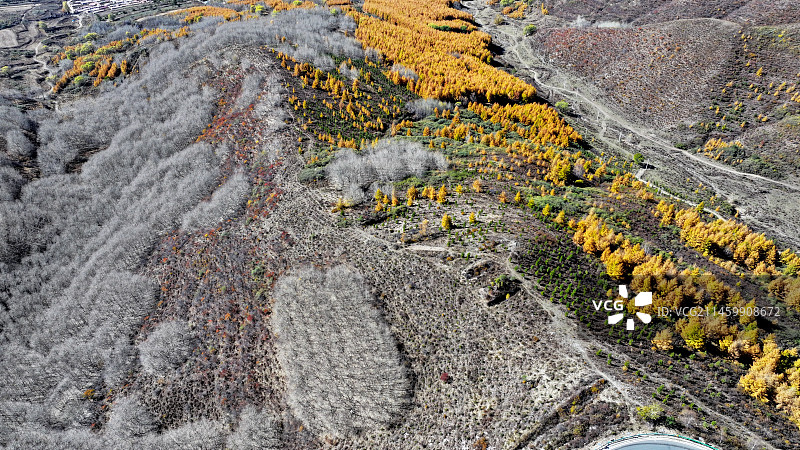 深秋时节，河北省张家口市坝上地区林木次第变色，山间田野五彩斑斓，宛若梦幻般的油画世界。图片素材