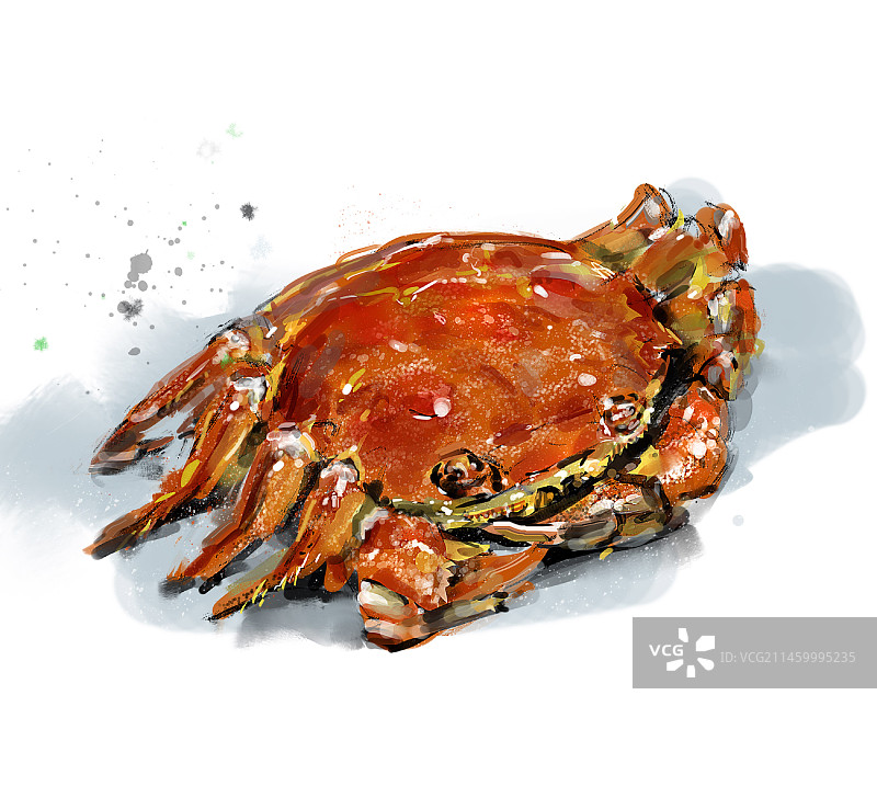 大闸蟹图片素材