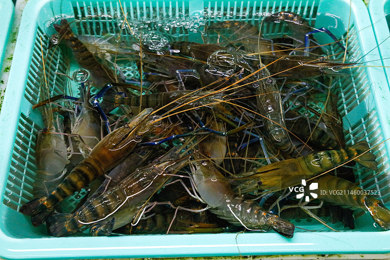 海鲜市场罗氏虾图片素材