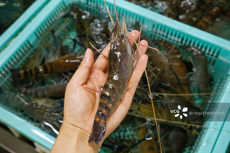 海鲜市场罗氏虾图片素材
