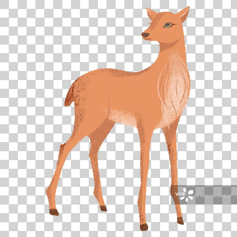 北欧风-鹿图片素材