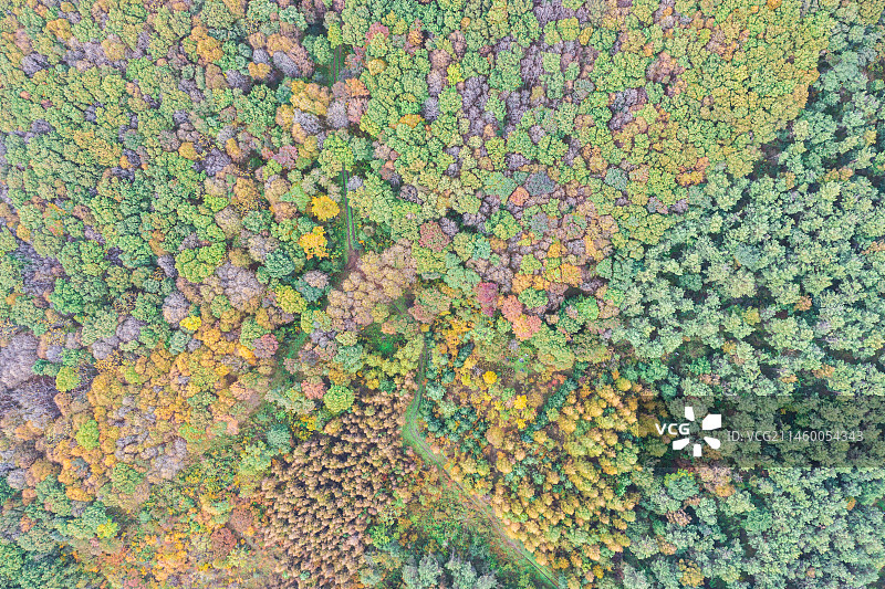 航拍长白山脉秋季多彩森林秋色图片素材