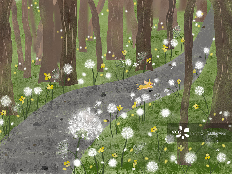 森林小路图片素材