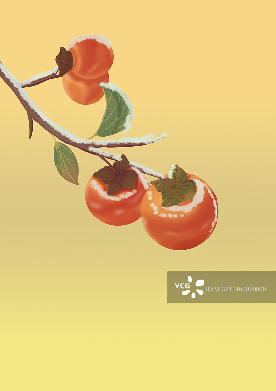 霜降插画图片素材