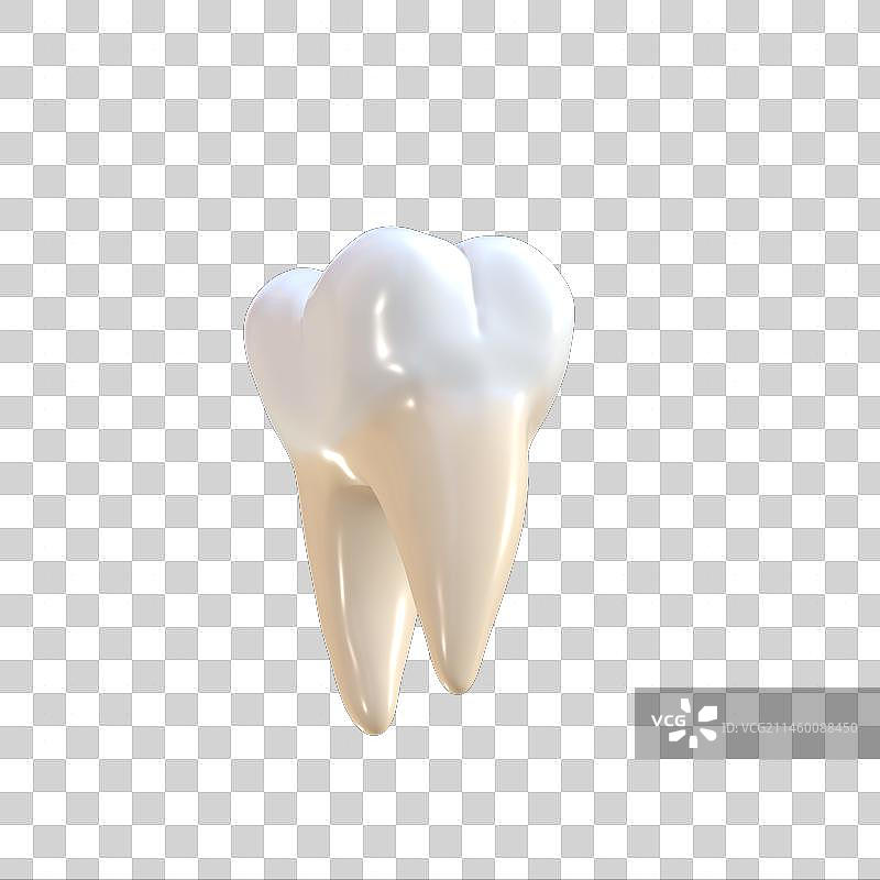 健康的牙齿3d模型图口腔健康检查图片素材