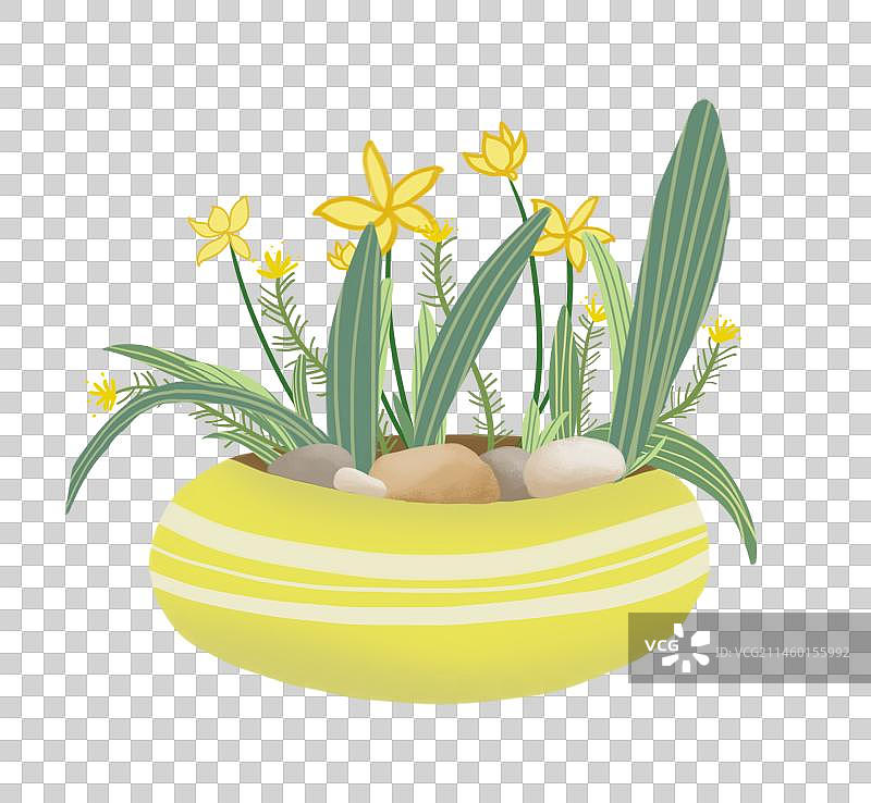 免抠元素原创素材手绘卡通植物花叶子盆栽花盆清晰扁平水仙花图片素材