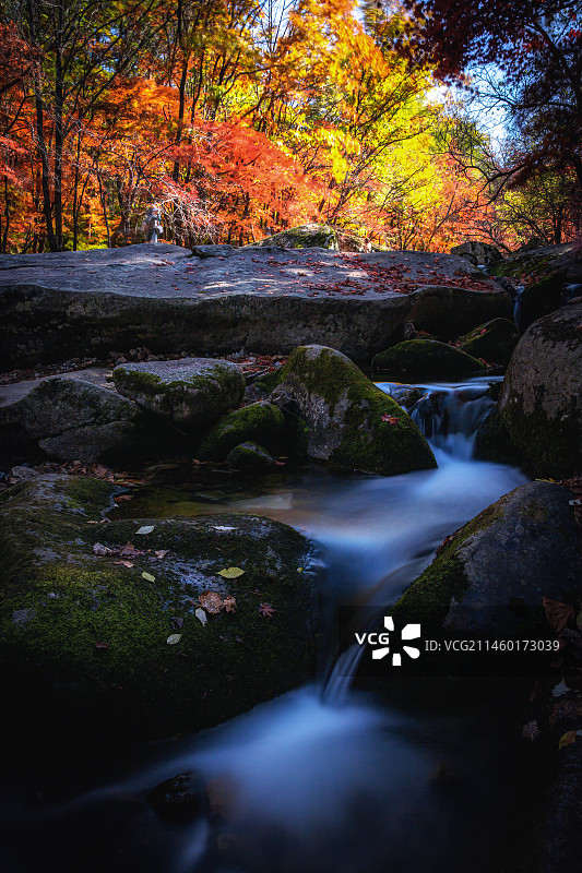 本溪老边沟秋色5图片素材