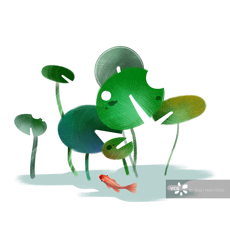 夏日池塘图片素材