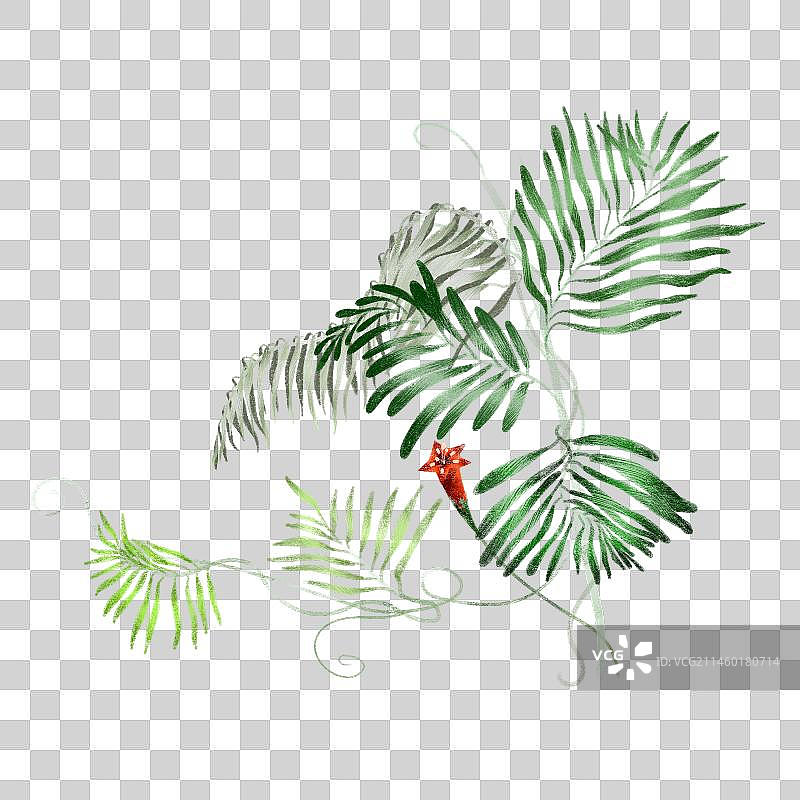 万绿丛中一点红图片素材