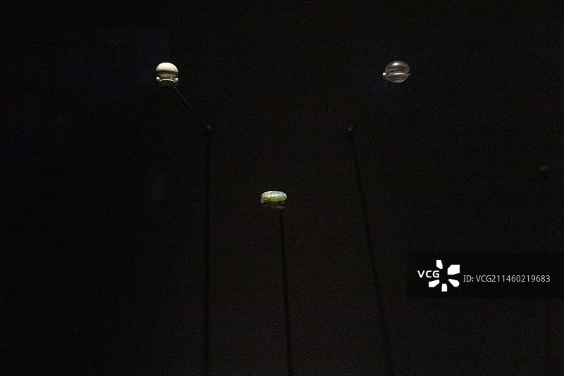 崧泽文化，精美玉器，玉文化图片素材