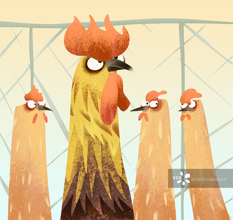 家禽一只公鸡带着三只母鸡发呆的样子儿童插画图片素材