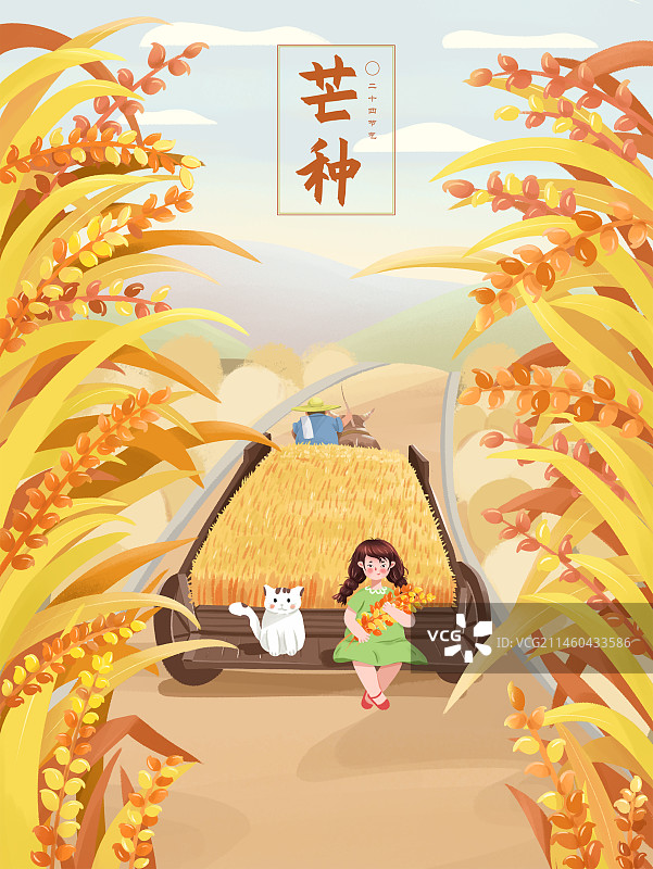 24节气芒种图片素材