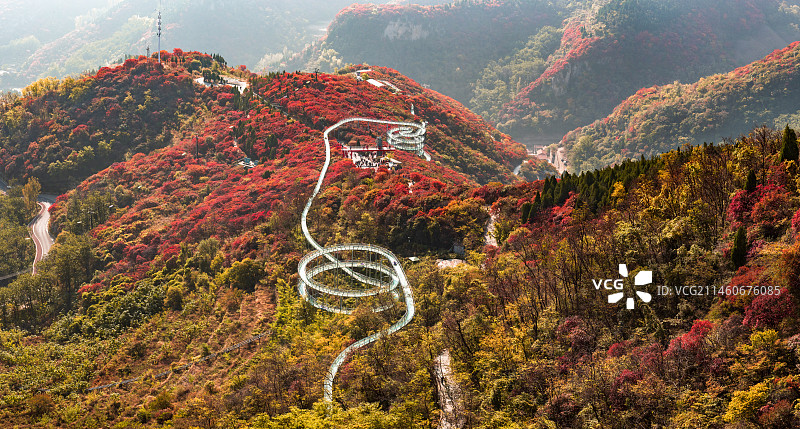 山东文旅红叶柿岩旅游区图片素材