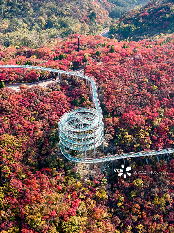 山东文旅红叶柿岩旅游区图片素材