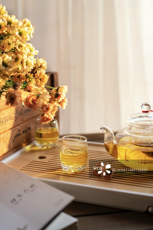佳节又重阳，赏菊品茶香图片素材
