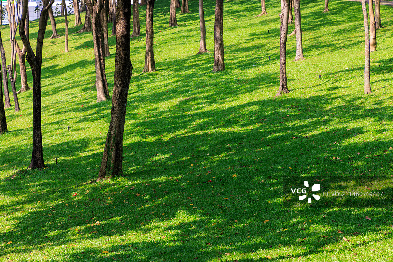 深圳市民广场南广场图片素材