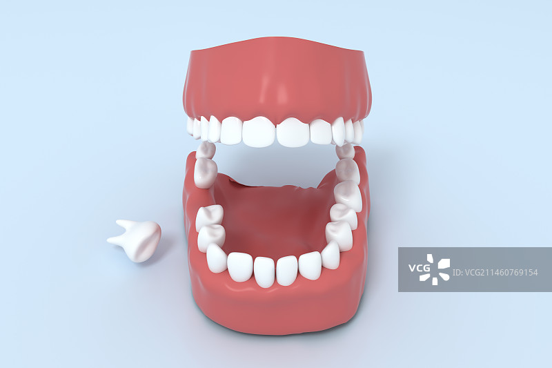 白色背景上的假牙和牙刷的高角度视图图片素材