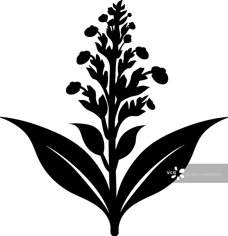 苋菜花图标图片素材