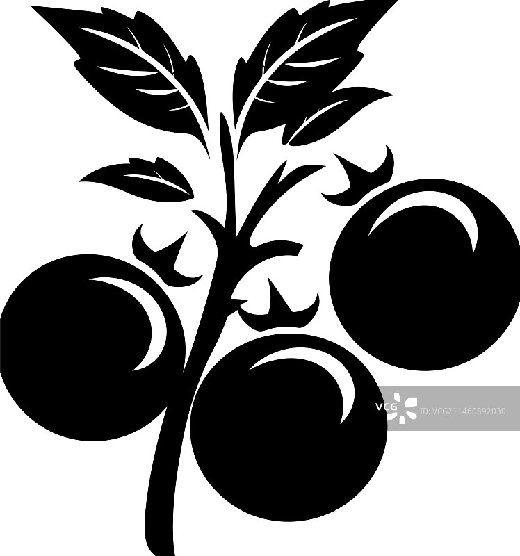 藤蔓西红柿图标图片素材