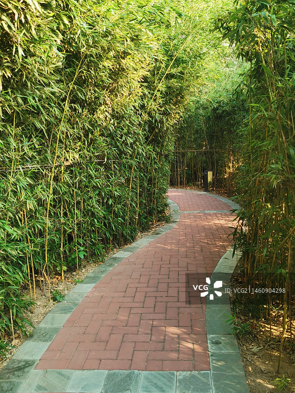 竹林步道图片素材