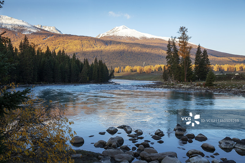 喀纳斯河秋色图片素材