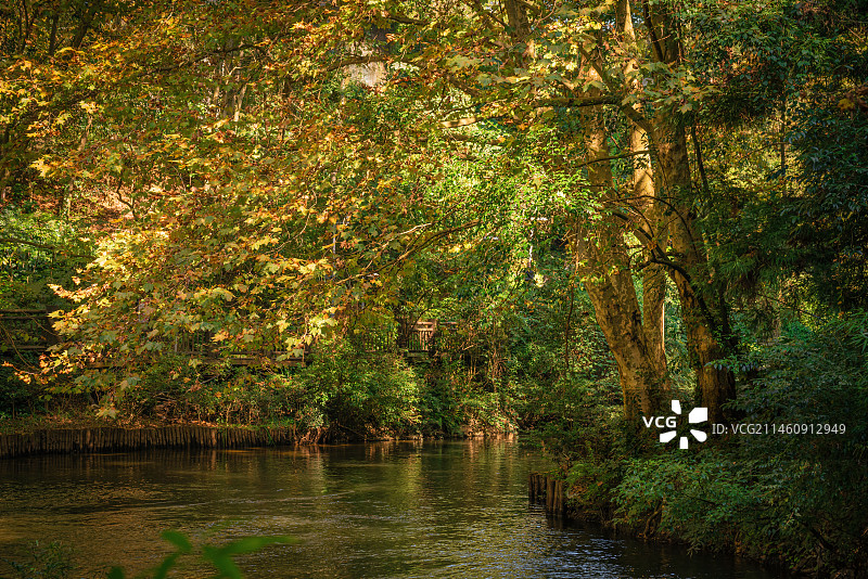 秋色满小溪图片素材