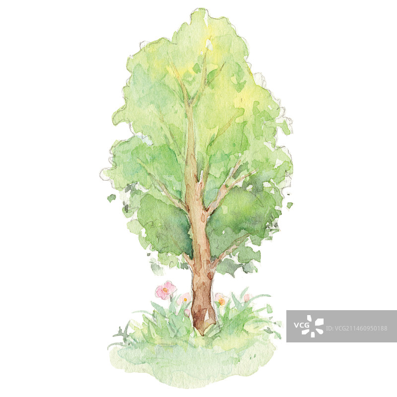 白色背景下一颗绿油油的大树图片素材