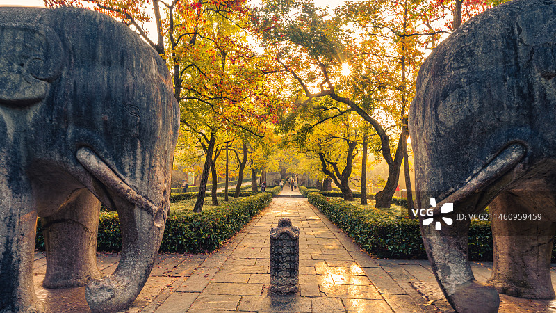 石象路｜清晨的第一缕阳光图片素材