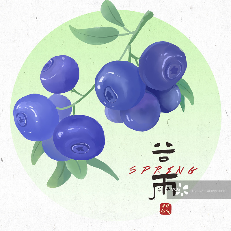谷雨24节气插画图片素材