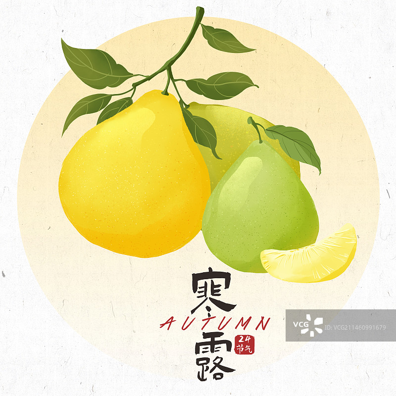 寒露24节气插画图片素材