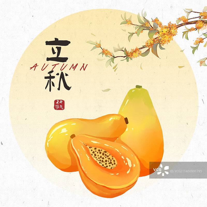 立秋24节气插画图片素材