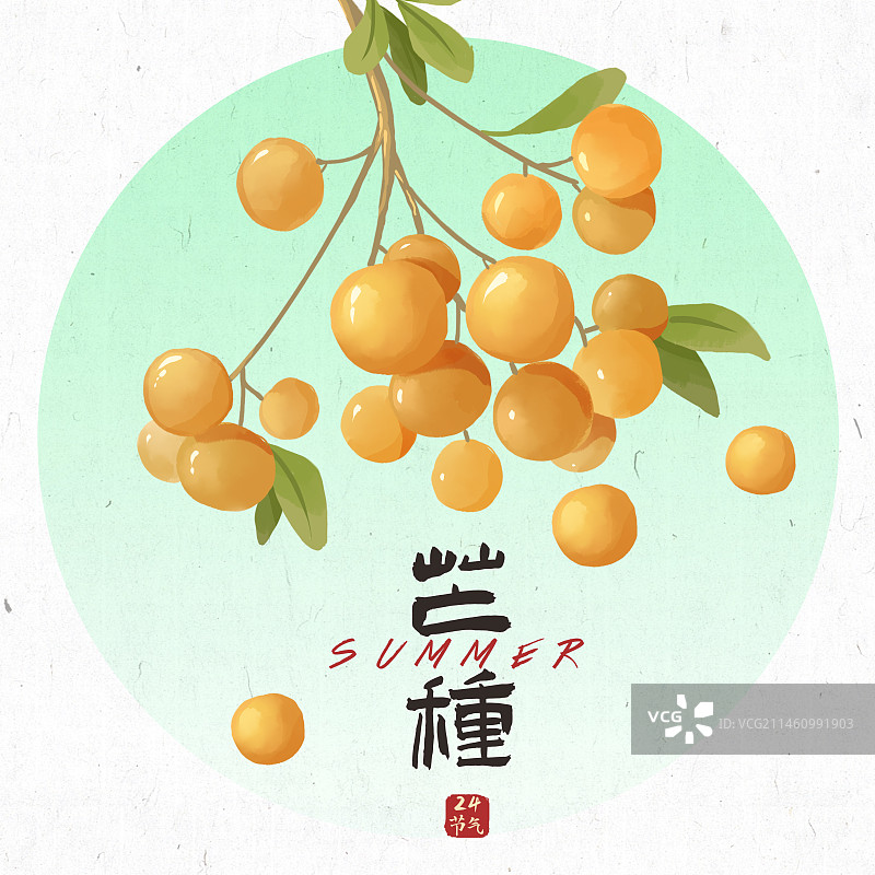 芒种24节气插画图片素材