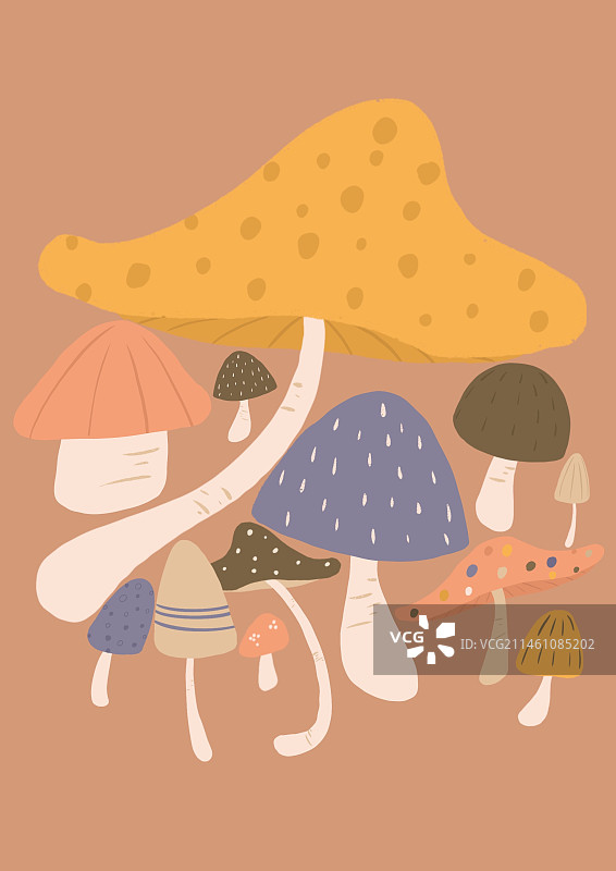 蘑菇开会图片素材