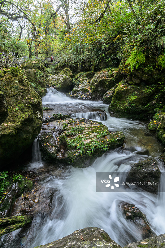龙苍沟森林公园秋色溪水森林图片素材
