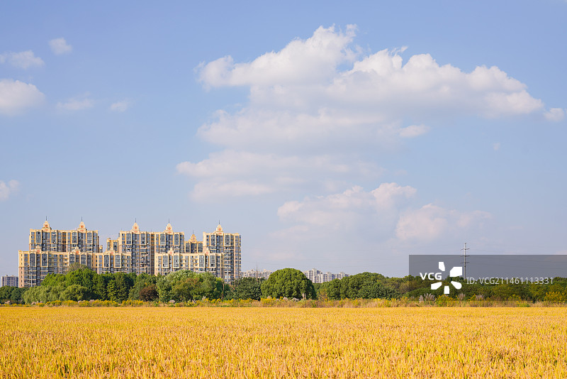 秋收进行时图片素材