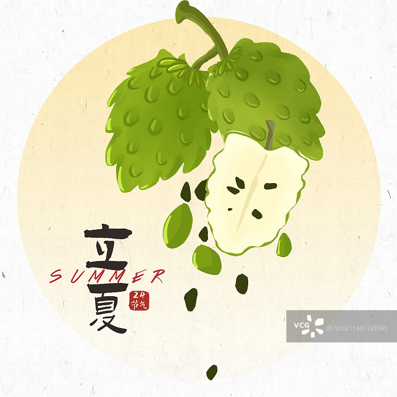 立夏24节气插画图片素材