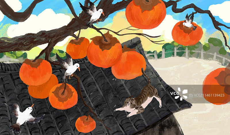 秋天的柿子 横板图片素材