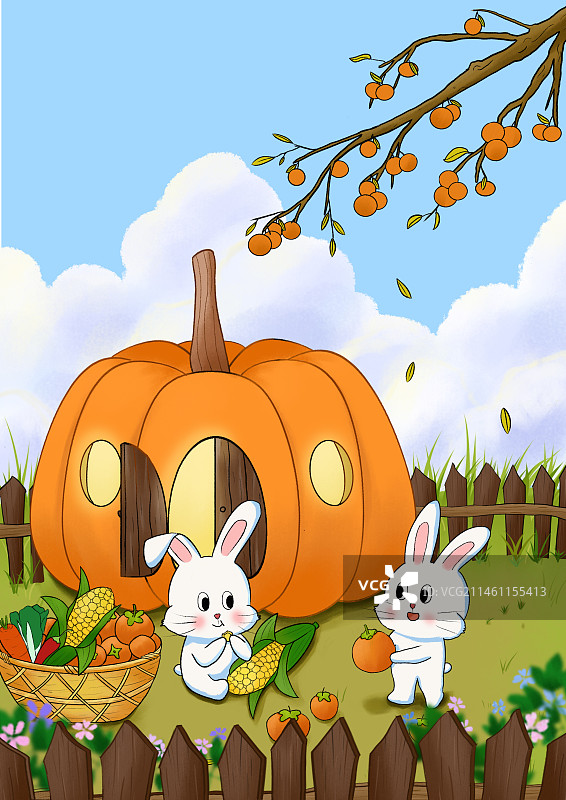 秋天的野外有两只兔子在吃东西图片素材