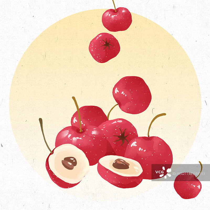 山楂24节气插画图片素材