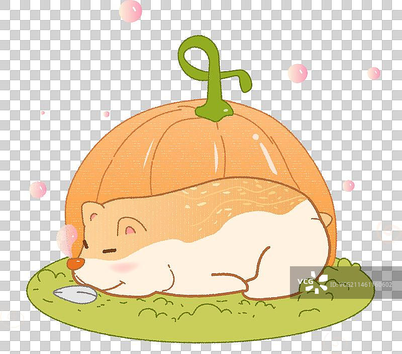 秋收丰收南瓜食物万圣节过冬仓鼠冬眠素材图片素材