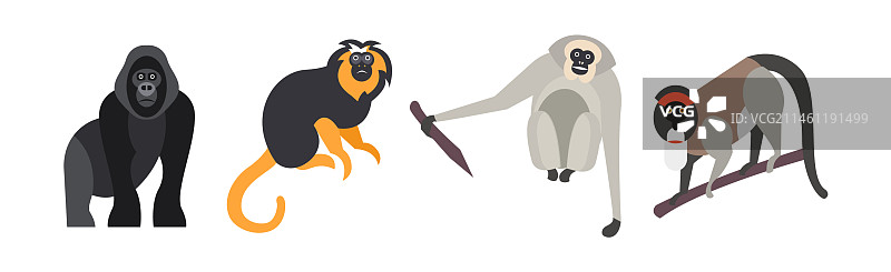 不同的猴子和猿类动物园物种图片素材